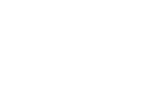 Tran Safe